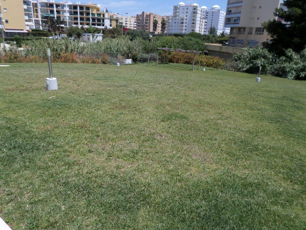 Rocha Tower By Beach Rentals Екстер'єр фото